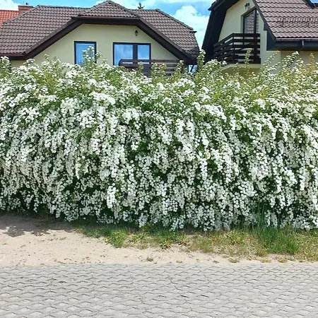 Apartament Słoneczny Gdańsk