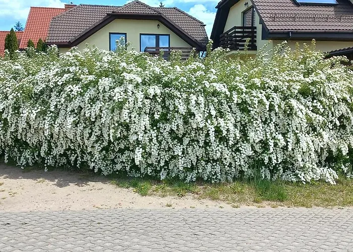 Apartment Sloneczny Gdansk